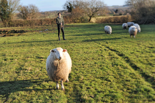 country men's cashmere jumper