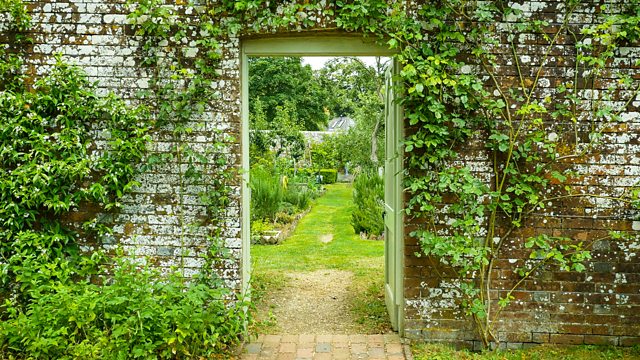 Flicker & Pulse: A Year in an English Garden