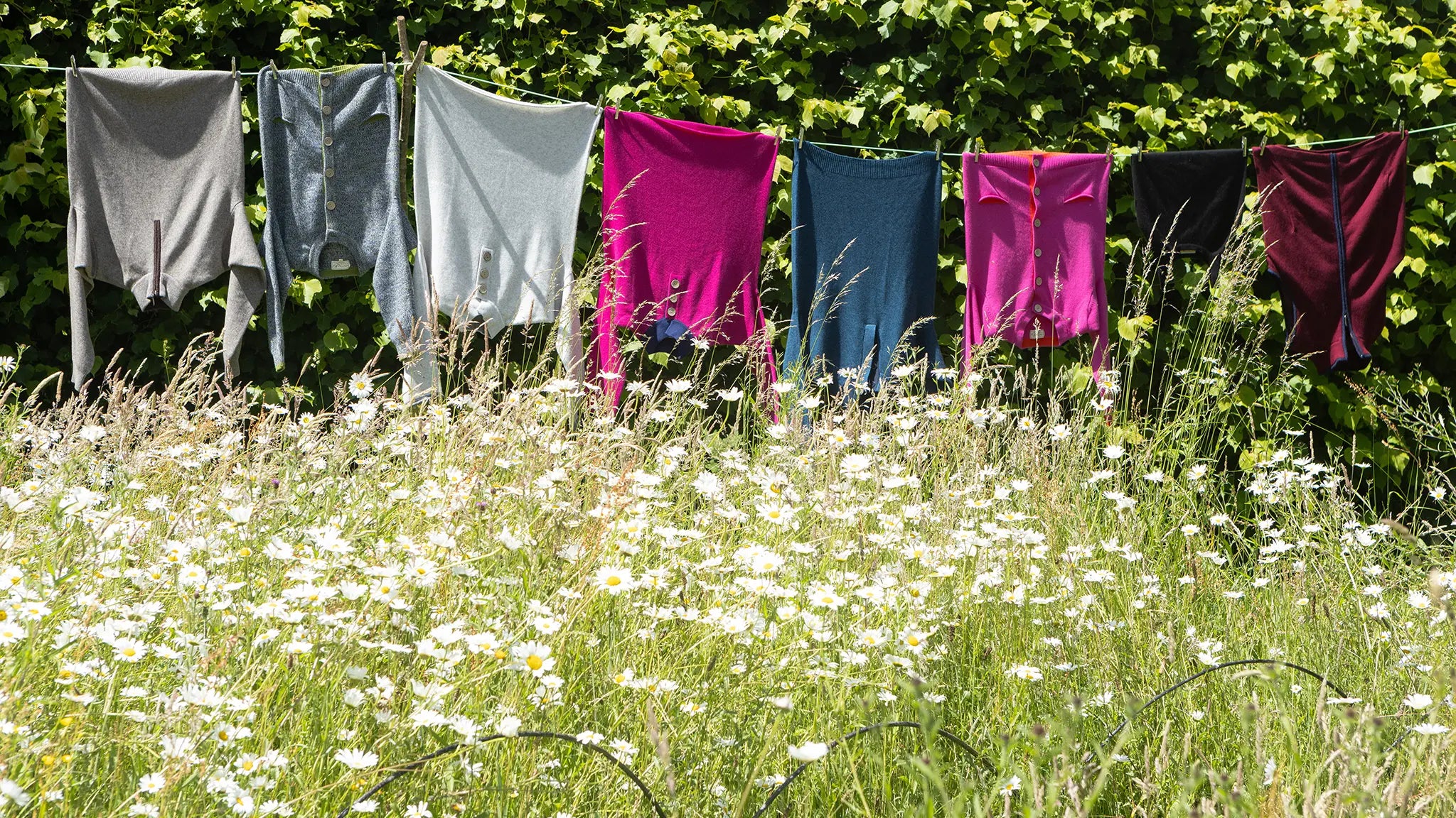 Several colourful jumpers, cardigans and gilets on a washing line in a meadow with a hedge behind